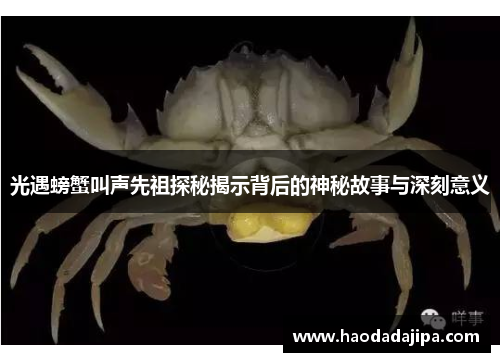 光遇螃蟹叫声先祖探秘揭示背后的神秘故事与深刻意义
