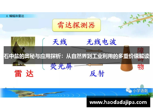 石中盐的奥秘与应用探析：从自然界到工业利用的多重价值解读